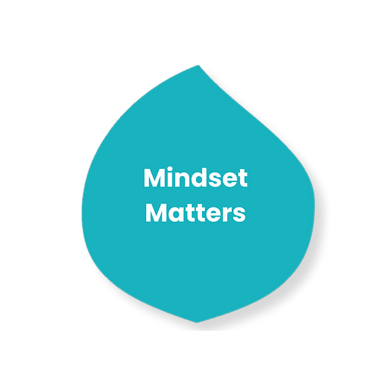 Teal leaf icon with “Mindset Matters” text, representing core SEL skill taught in My Mindful Class for student success and focus.