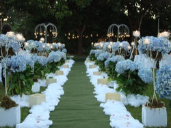 Casamento Anísia e Neto