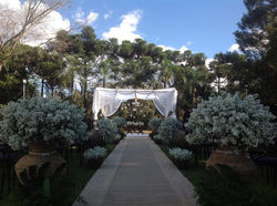 Casamento rustico com aster