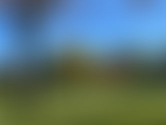 Reflections: Benefits of a weighted vest, mindset for better health, and real connections