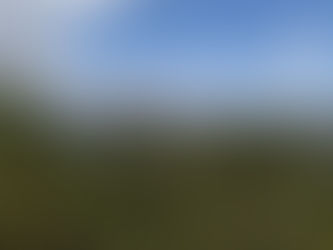 A onça-parda e a Serrinha do Paranoá