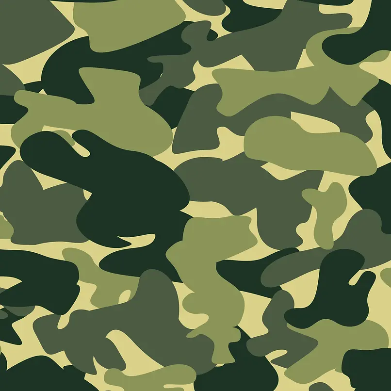 camouflage-army-pattern-background-free-vector.webp