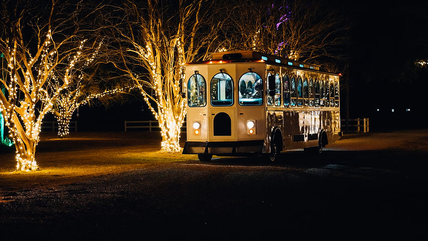 Lake Charles Limo and Trolley party