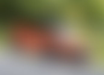 Suzuki Swift (2021) Review