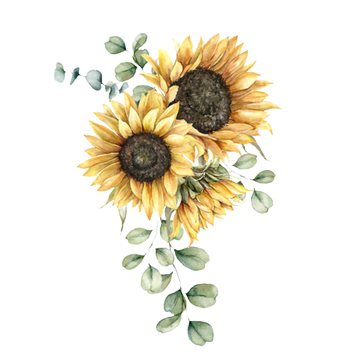 istockphoto-1291611339-612x612-removebg-preview.png