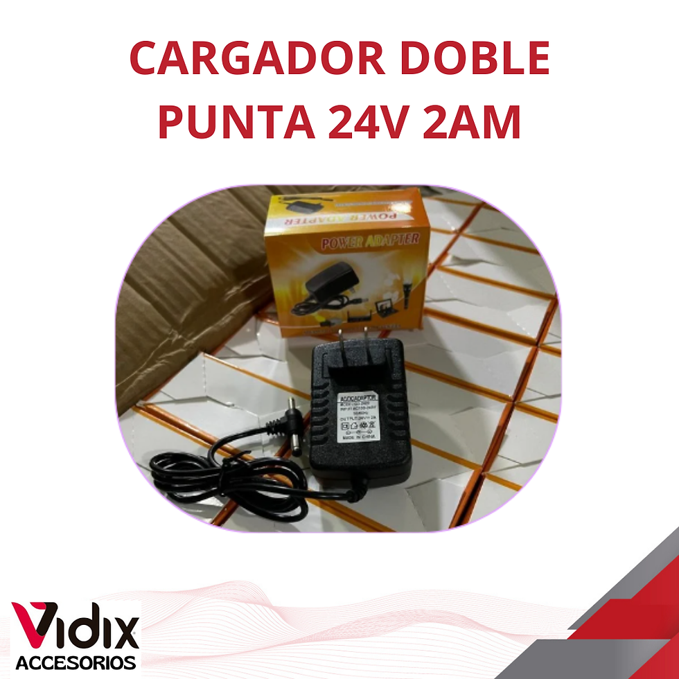 CARGADOR DOBLE PUNTA 24V 2AM