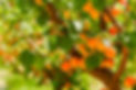 AdobeStock_323678606.jpeg