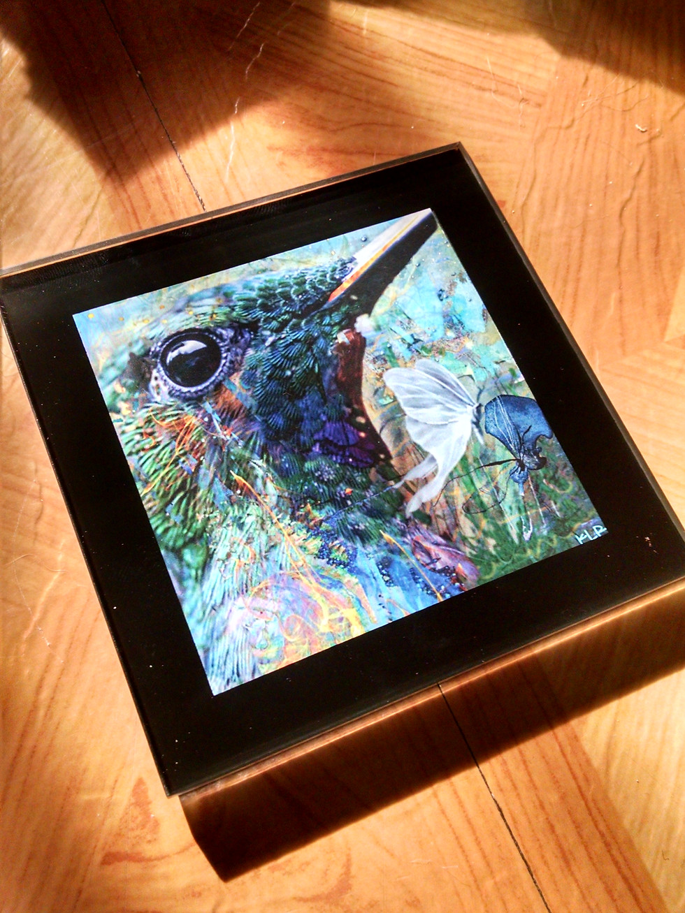 Thumbnail: Hummer's Dance Glass Coaster