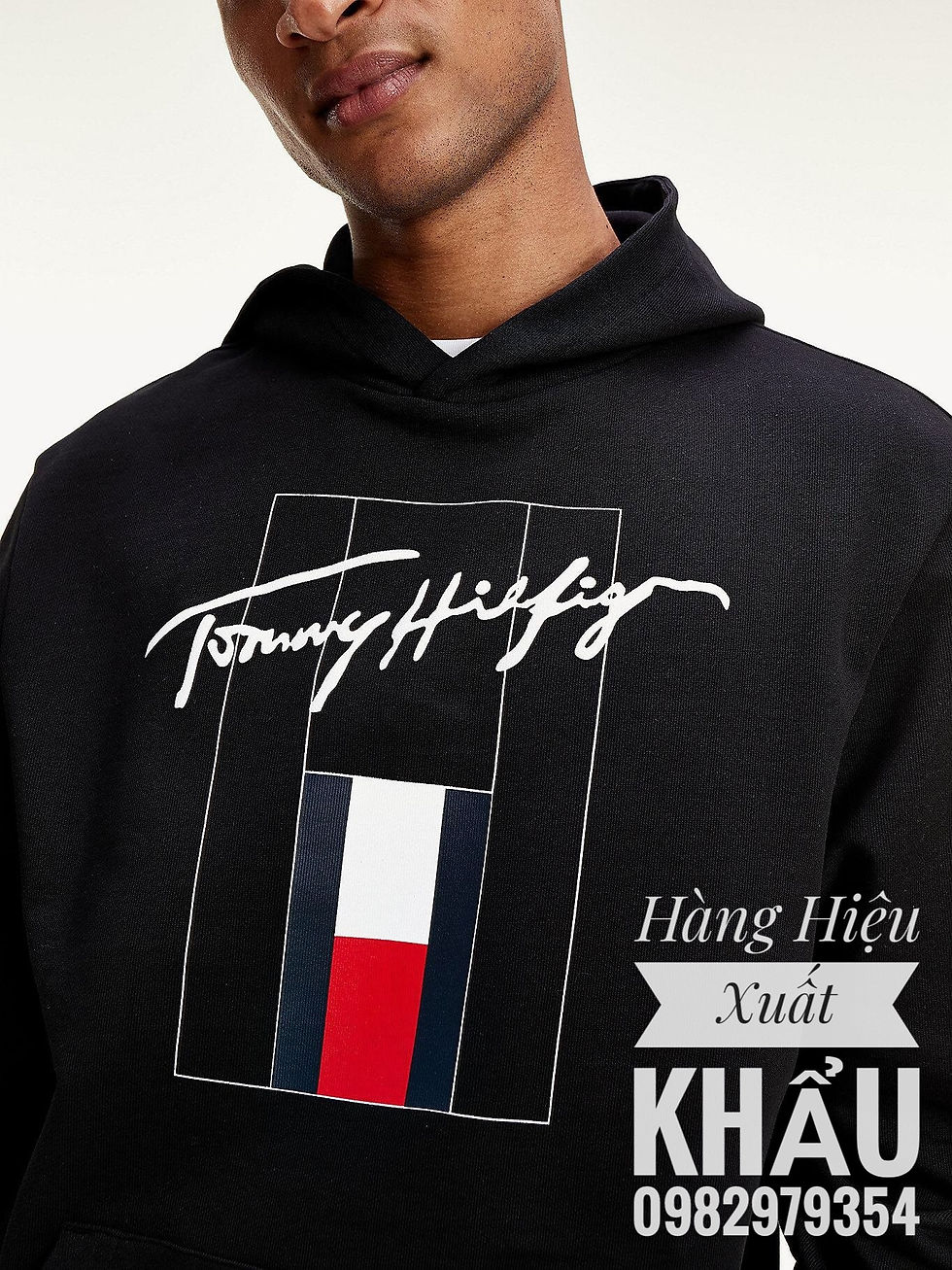 Hình thu nhỏ: Áo thun Tommy Hoodie