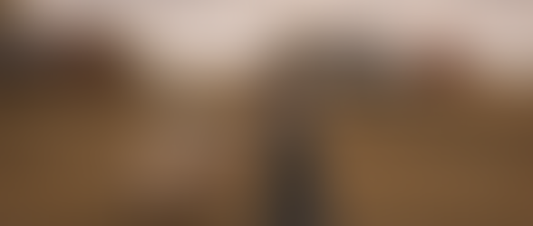 Meet Regina: The Heart of The Sunstone Path