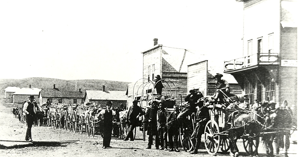 Buffalo Bones in Minot, North Dakota