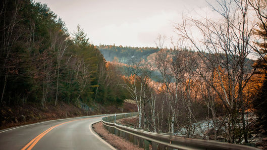 the kank national forest in New Hampshire during November