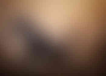 merle golden doodle puppy climbs on a box in a dry grass field at sunset in Fort Calhoun, ne