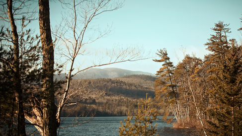 New Hampshire landscape with fall trees in November