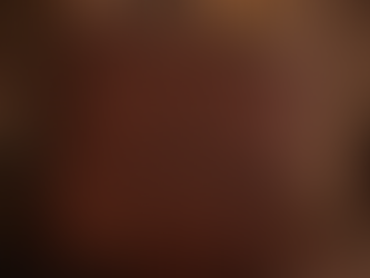 Product of the week: Albums! | The Copper Fox Studio | Omaha Family Photographer | Fremont | Gretna