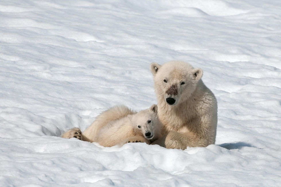 Norwegen | Spitzbergen