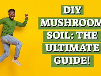 DIY Mushroom Soil: The Ultimate Guide!