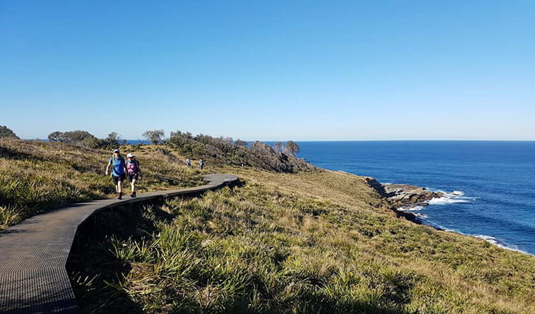 Royal National Park Adventure