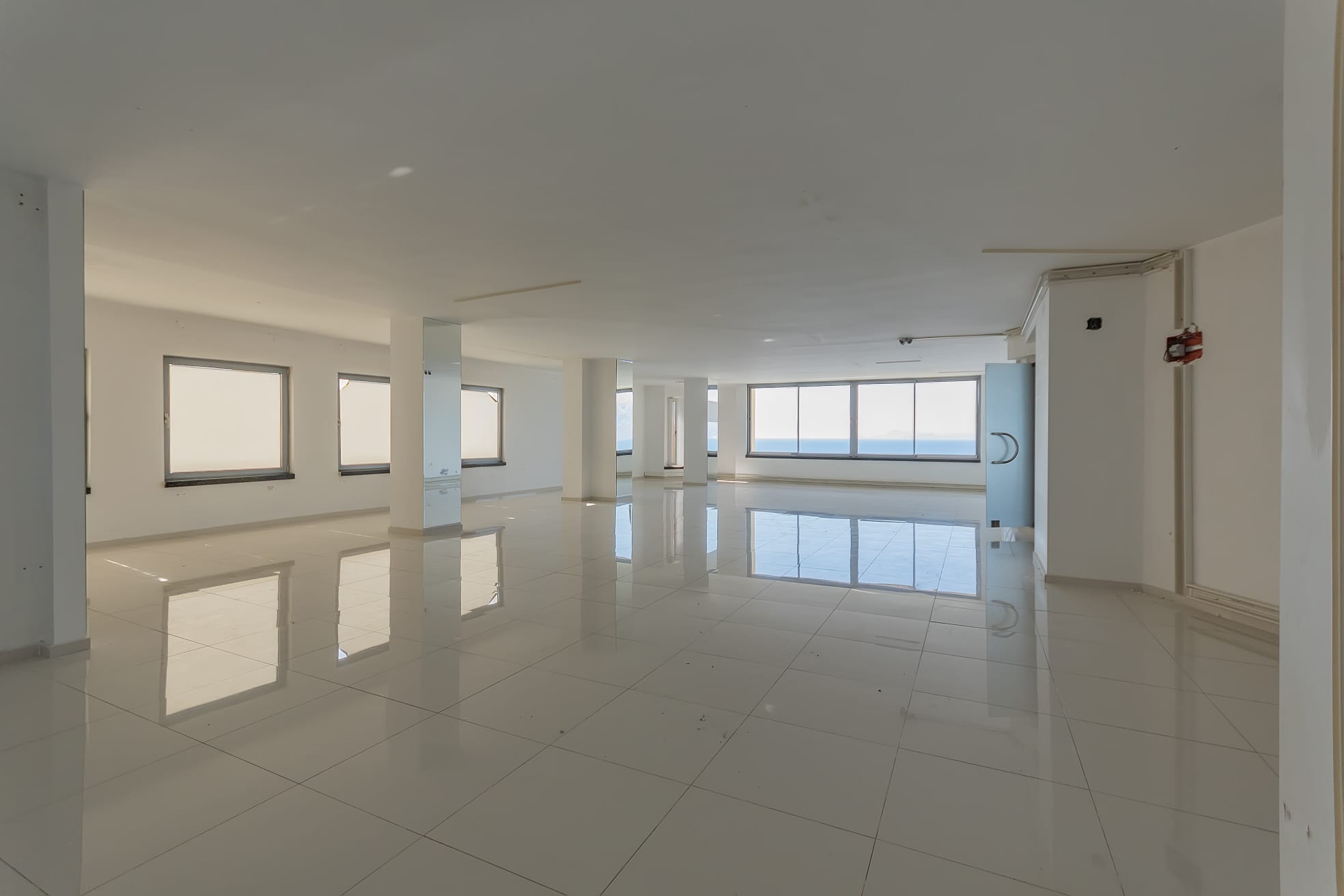 a placeholder image.