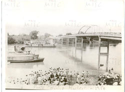 Ponte Júlio Müller