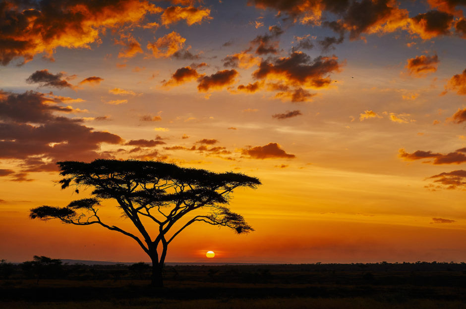 Thumbnail: Earrings - Golden Sunset