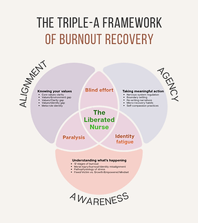 The Triple-A Framework.png