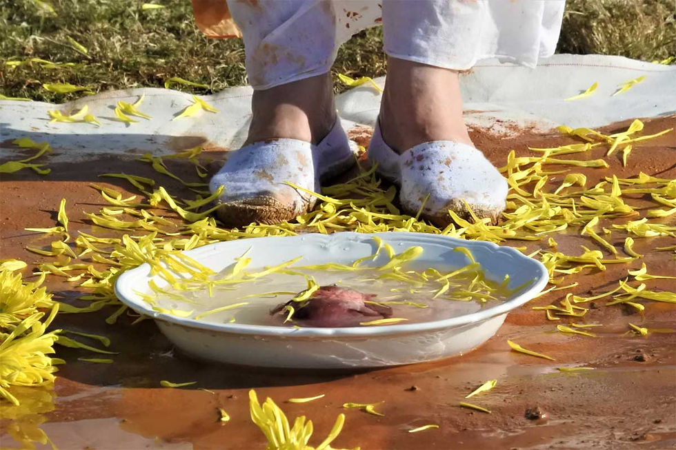 Ofrenda al Lago