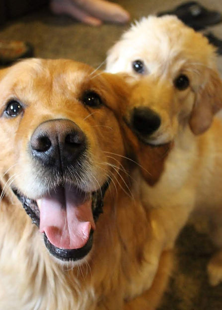 Charlie and Poppy