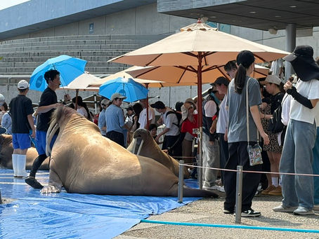 お盆休みは大分へ