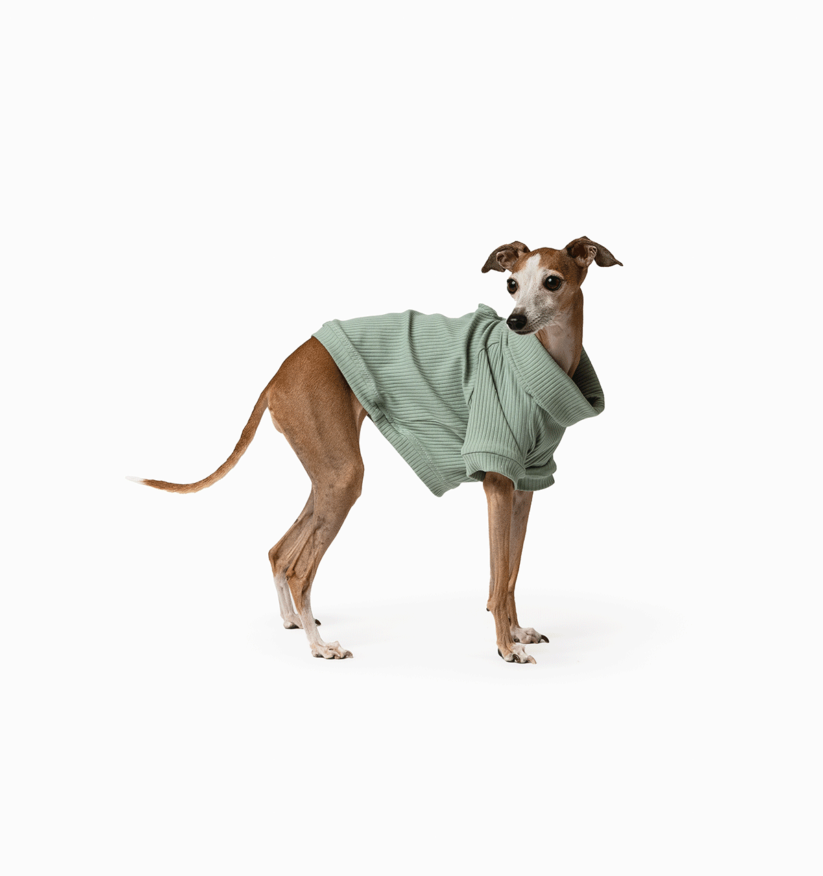 Mister Woof Blake Jumper Seafoam Green Medium