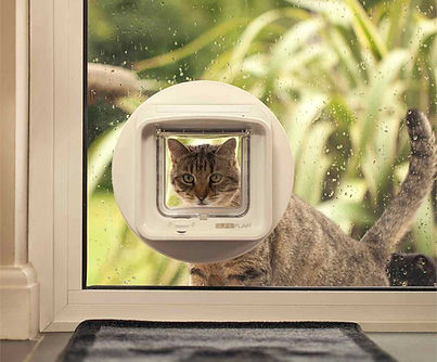 custom pet flap