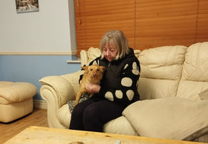My life with Foxy the foster girl