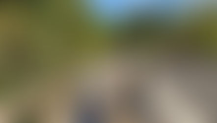 The adventure begins!