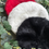 Miniatura: Fluffy white black or red beret, angora and acrylic mix, adjustable size