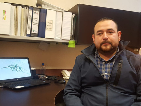 CONTINÚA MONITOREO AL SERVICIO QUE BRINDA PASA
DE RECOLECCIÓN DE BASURA.