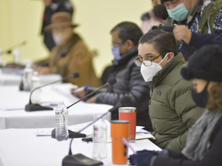 EN PRIMERA SESIÓN ORDINARIA DE CABILDO, APRUEBAN POR UNANIMIDAD DICTAMEN Y LICITACIÓN PÚBLICA