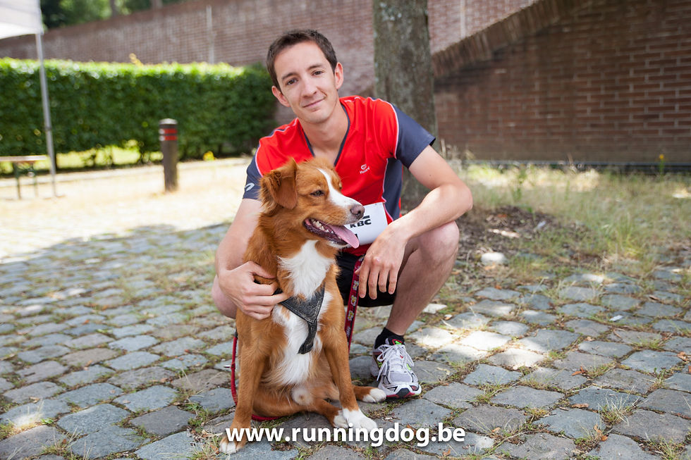 Running_Dog_2014_(©Vertigo)-89.jpg
