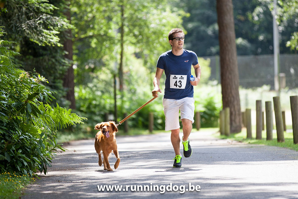 Running_Dog_2014_(©Vertigo)-9.jpg