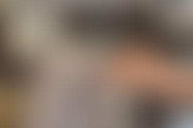 A grey cat being fed a treat