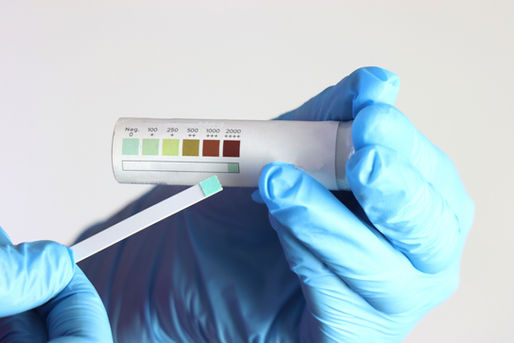 Understanding Diabetes in Cats: Causes and Diagnosis