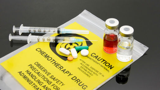 Understanding Chemotherapy in Cats: What Owners Need to Know