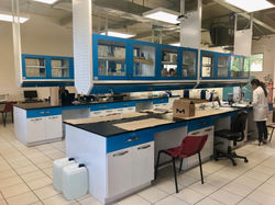 Biotecnología