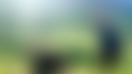 Dear Jody, What are you supposed to do when you are hiking on a trail or walking on a path and there are cows?  Is it Safe to MOOOve around them?  Thank you, Mooooren​