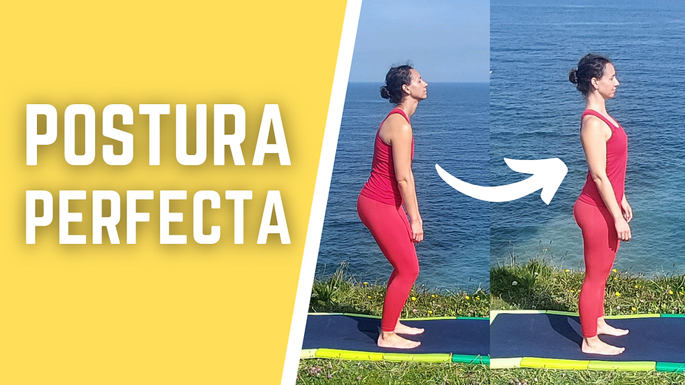 Ejercicios para una buena postura