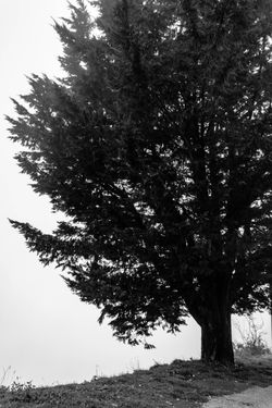 IMG_0915
