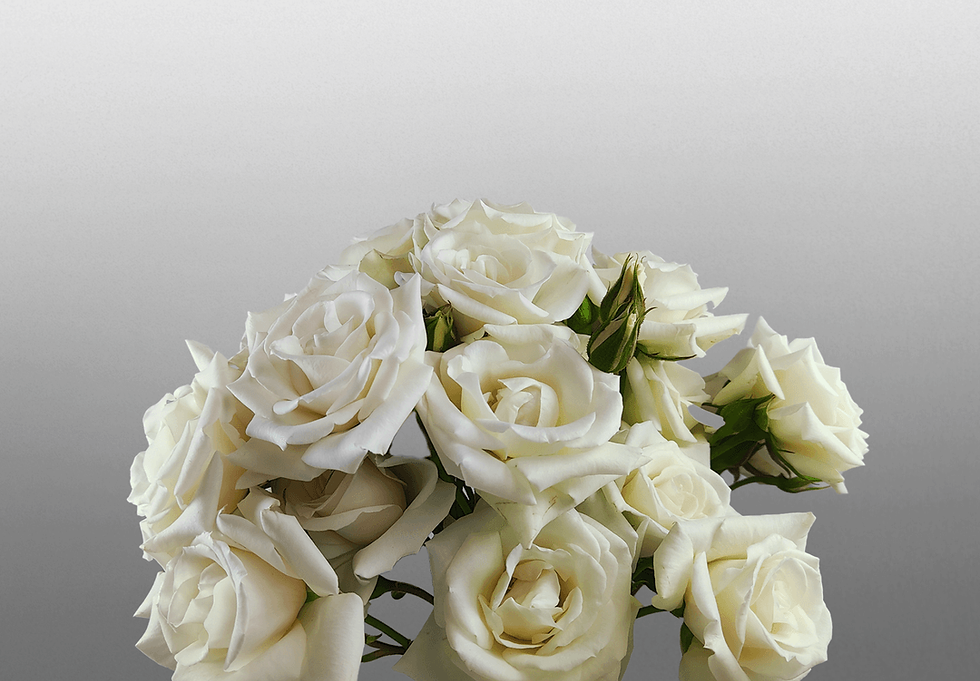 Miniature : Snowflake