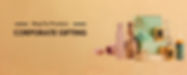 Copy of Blue Red Modern Air Conditioner Repair Services Banner (1000 x 400 mm) (7).jpg