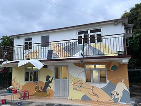 WhatsApp Image 2025-12-09 at 19.24.27.jpeg