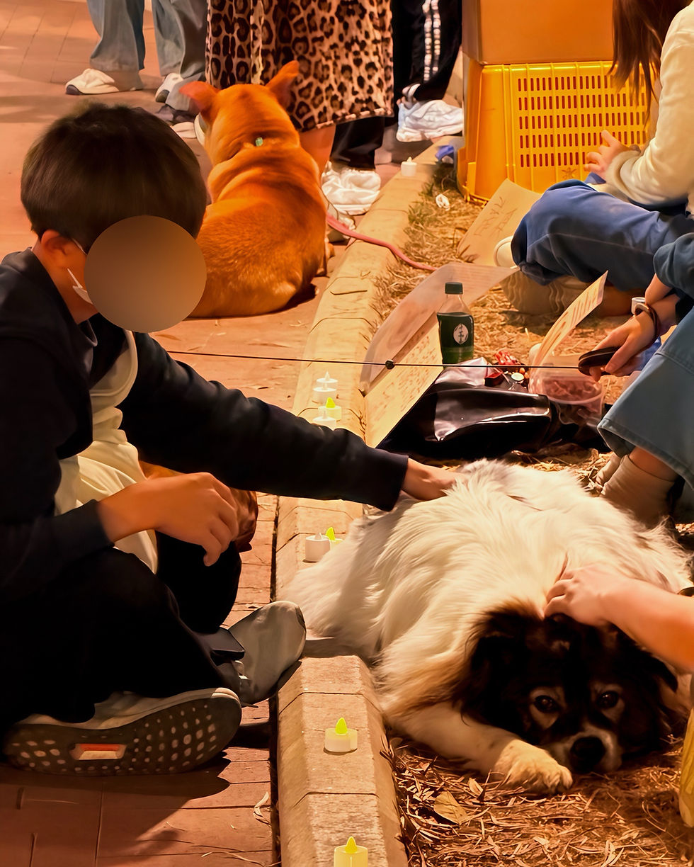 縮圖：生命教育活動