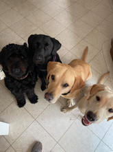 Brothers and sisters